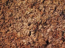 dry ground texture outdoors photo