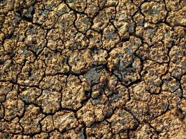 dry ground texture outdoors photo