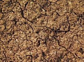 dry ground texture outdoors photo