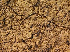 dry ground texture outdoors photo