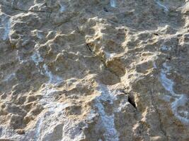 Stone texture in the garden photo