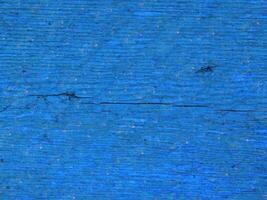 Blue Wood Texture photo