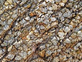 outdoor stone texture photo