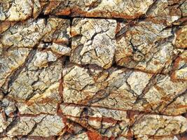 outdoor stone texture photo