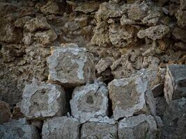 Dark Stone Texture In The Garden photo