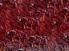 textura de piedra roja en el jardín foto