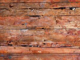 textura de madera al aire libre en el jardín foto