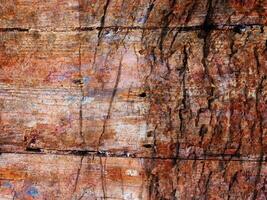 textura de madera al aire libre en el jardín foto