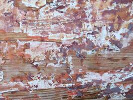 Wood texture outdoor photo