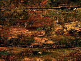 textura de madera marrón oscuro foto