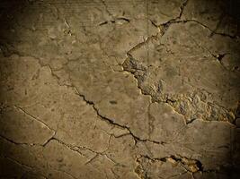 Dark Marble Texture In The Garden photo