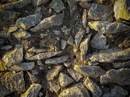 Dark Stone Texture In The Garden photo