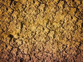 dry ground texture outdoors photo