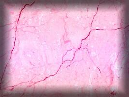 Pink Marble Texture photo