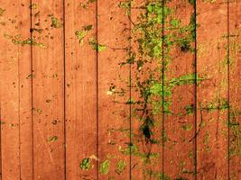 Dark Brown Wood Texture photo