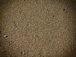 Texture Of Dark Sand At The Sea photo