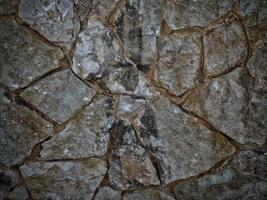 textura de piedra oscura en el jardín foto