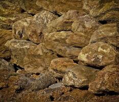 Dark Stone Texture In The Garden photo