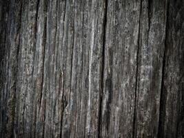 Dark Wood Texture In The Garden photo