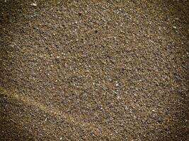 Texture Of Dark Sand At The Sea photo