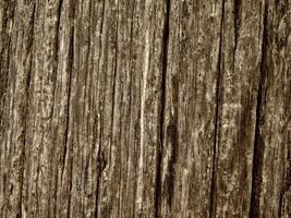 Brown Wood Texture photo