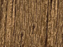 Brown Wood Texture photo