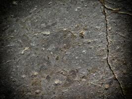 Dark Marble Texture In The Garden photo