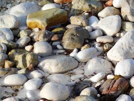 stones at the sea photo