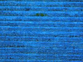 Blue Wood Texture photo