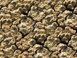 dry ground texture outdoors photo
