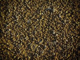 Texture Of Dark Sand At The Sea photo