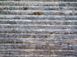 Wood texture outdoor photo