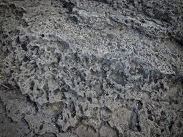 textura de piedra oscura en el jardín foto