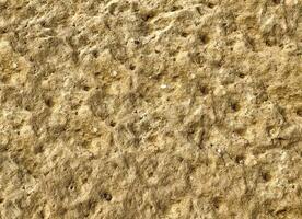 Brown Stone Texture photo