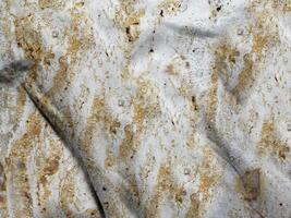 Marble Texture In The Garden photo