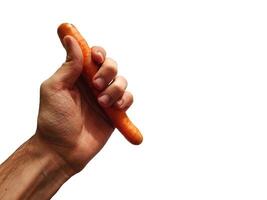 Carrots on hand photo