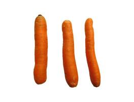 Carrots on white background photo