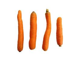 zanahorias sobre fondo blanco foto