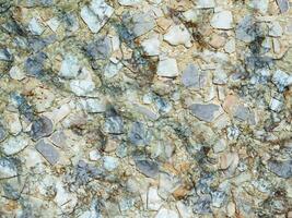 Stone Texture Outdoors In The Garden photo