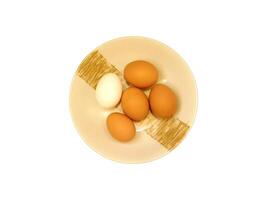 eggs on white background photo