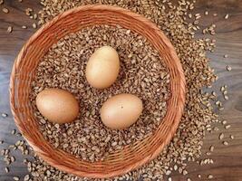 Eggs in the kitchen photo