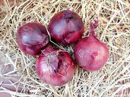 Onions in the kitchen photo