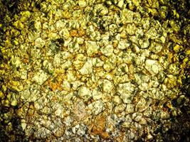 Texture Of Yellow Stone In The Garden photo