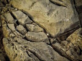 Dark Stone Texture In The Garden photo