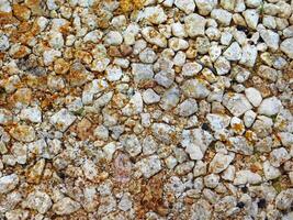 outdoor stone texture photo