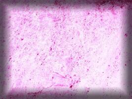 Pink Marble Texture photo