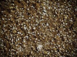 Texture Of Dark Sand At The Sea photo