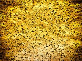 Texture Of Yellow Stone In The Garden photo