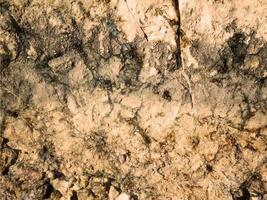 textura de piedra al aire libre foto