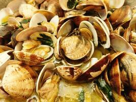 Clams in the kitchen photo